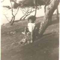 La pinède béni-safienne (vers 1950/51)